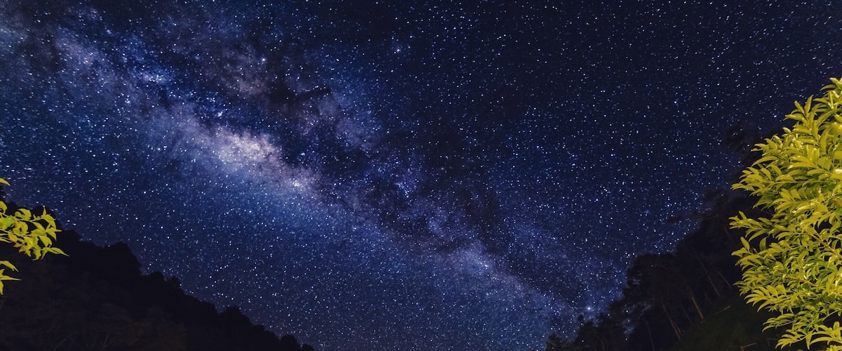 Nights can be very rewarding during the rainy season in the central mountains of Costa Rica, if you van tolerate a little bit of cold weather.