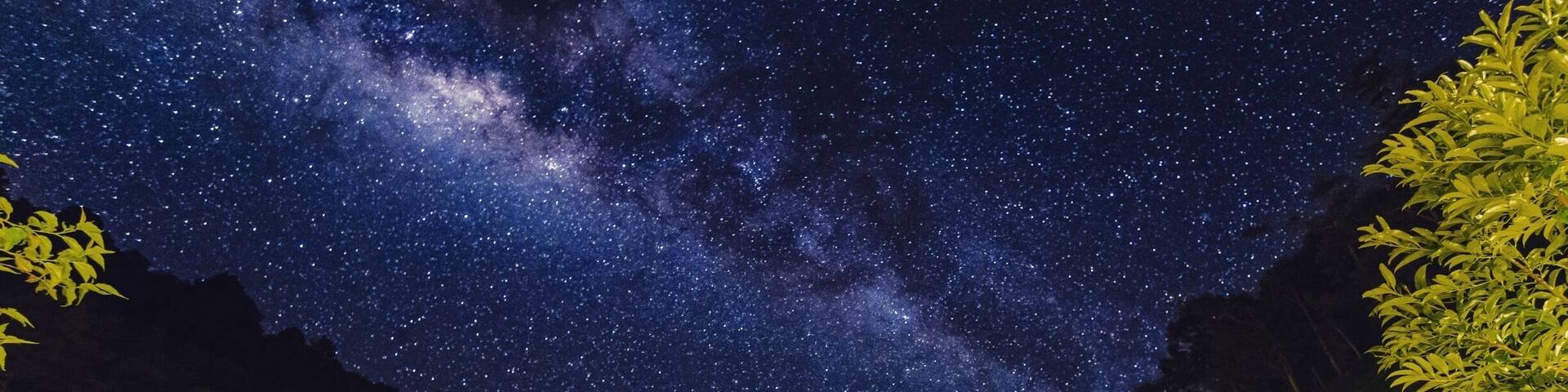 Nights can be very rewarding during the rainy season in the central mountains of Costa Rica, if you van tolerate a little bit of cold weather.