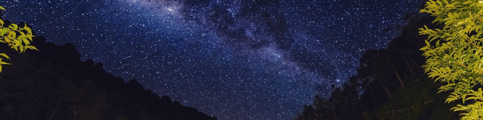 Nights can be very rewarding during the rainy season in the central mountains of Costa Rica, if you van tolerate a little bit of cold weather.