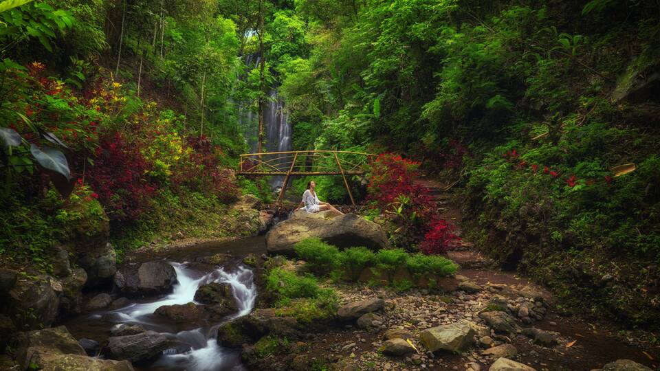 A waterfall, a wooden bridge, and lush greenery in a forested area.