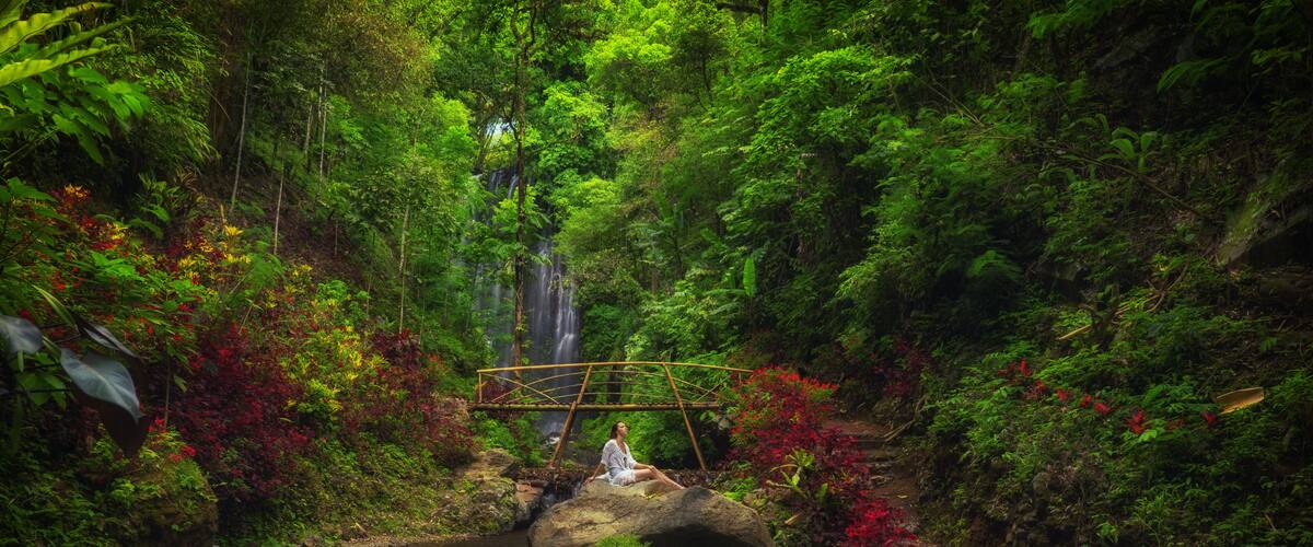 A waterfall, a wooden bridge, and lush greenery in a forested area.