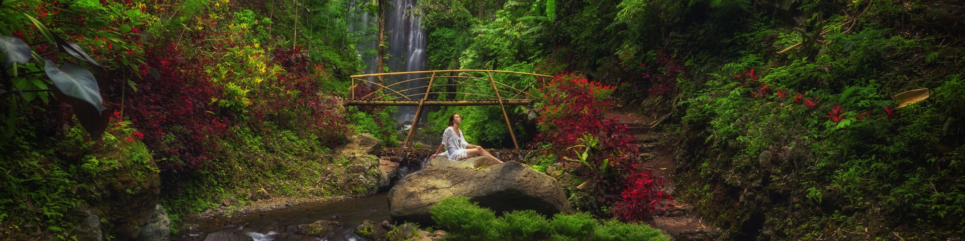 A waterfall, a wooden bridge, and lush greenery in a forested area.