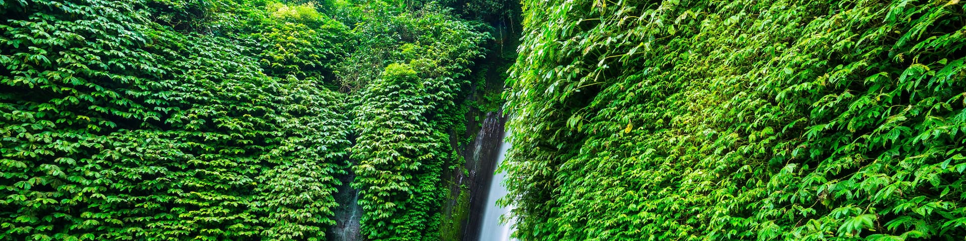 Bali, Indonesia. Old tree in the water near Munduk waterfall, Shutterstock ID 338013728, Purchase Order: SP-2062, Order Number: SP-2062 Hotels.com Go Guide, Client/Licensee: Hotels.com, Other: Lee Ban