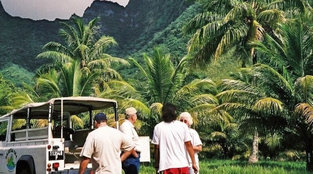 Off road trek in Tahiti