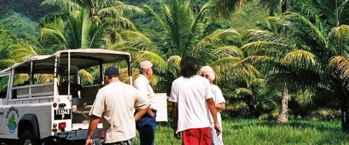 A group of people near a white vehicle in a tropical setting with palm trees and a mountain in the background.