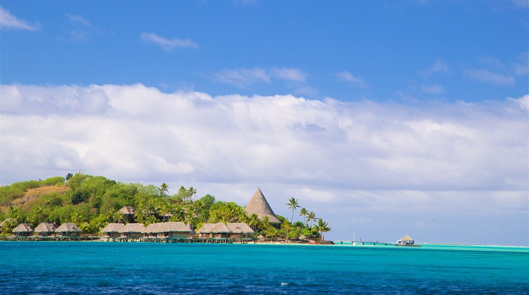 Motu Piti which includes tropical scenes and general coastal views