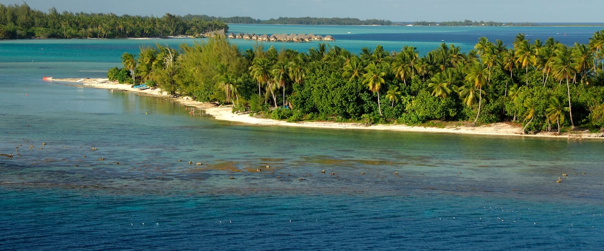 A tropical beach with clear turquoise waters, palm trees, and overwater bungalows.