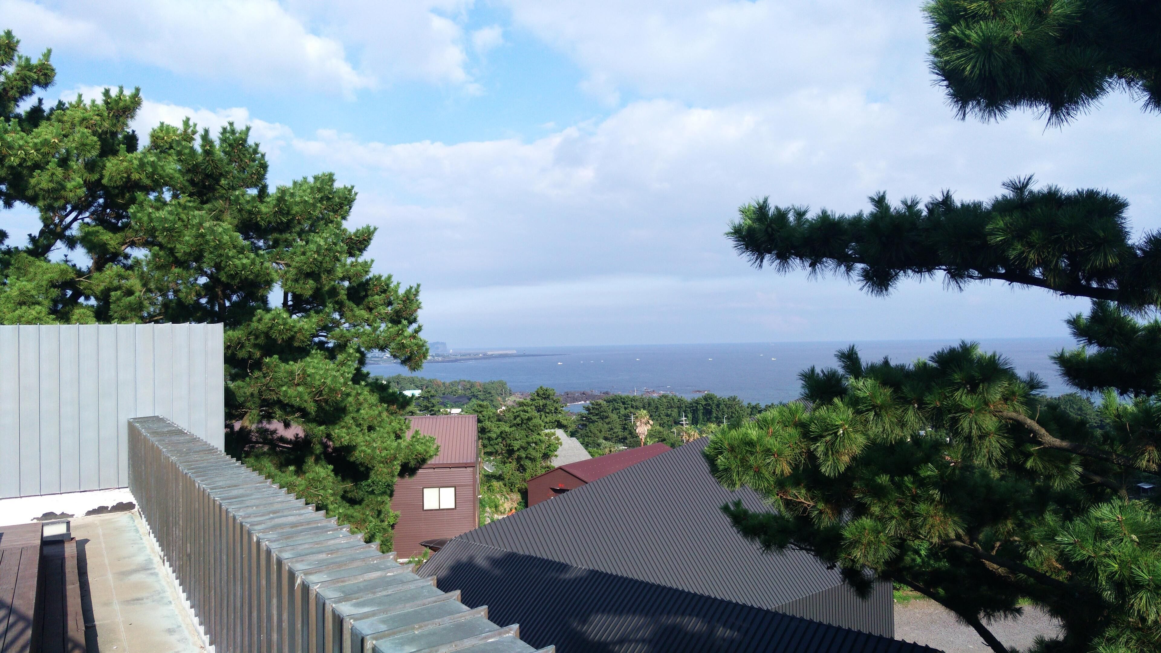 Daepo-ro, Seogwipo-si, Jeju-do, South Korea