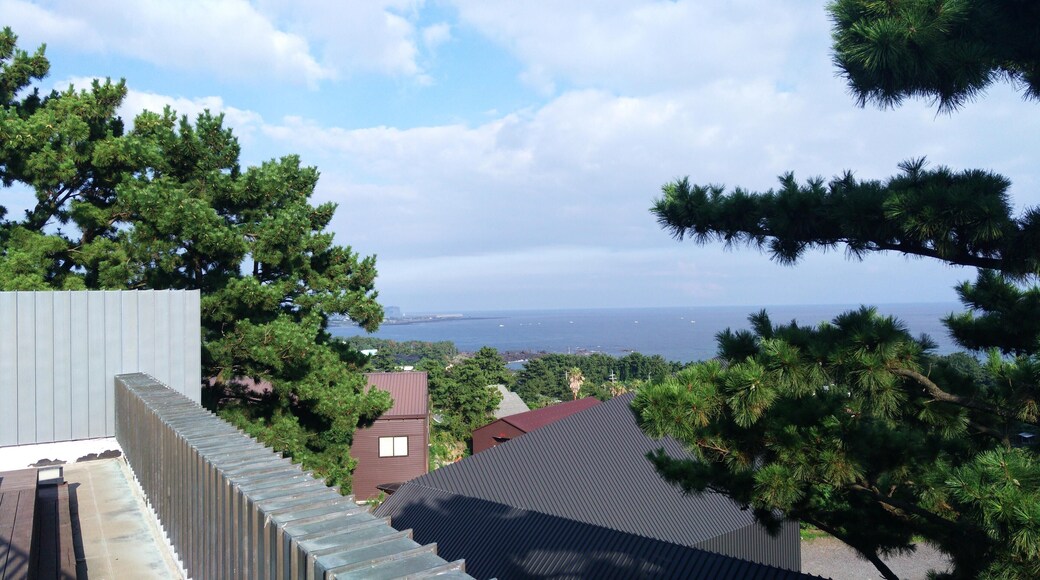 Daepo-ro, Seogwipo-si, Jeju-do, South Korea