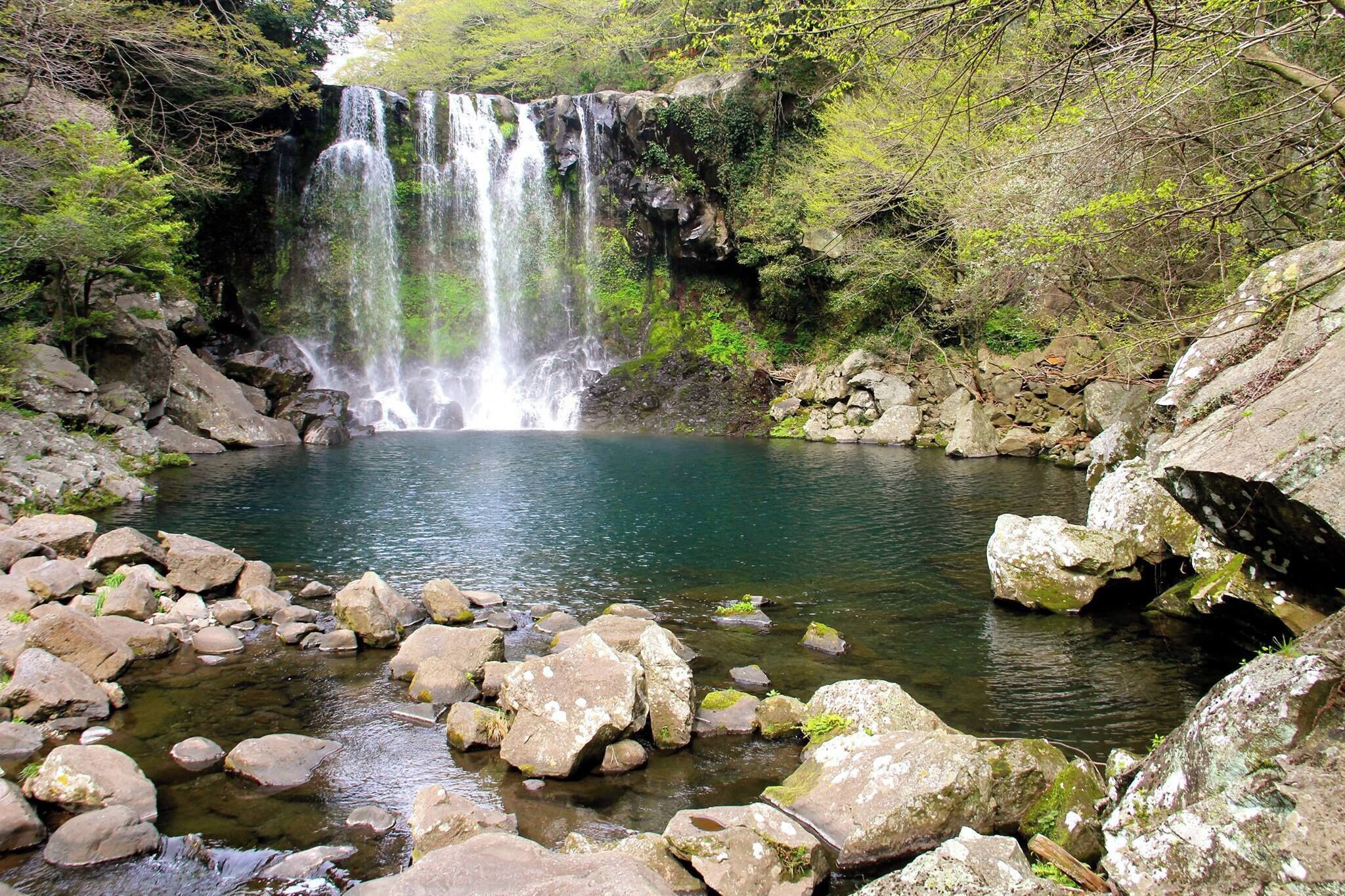 Ein Wasserfall stürzt in einen klaren Teich, umgeben von Felsen und Grünpflanzen.