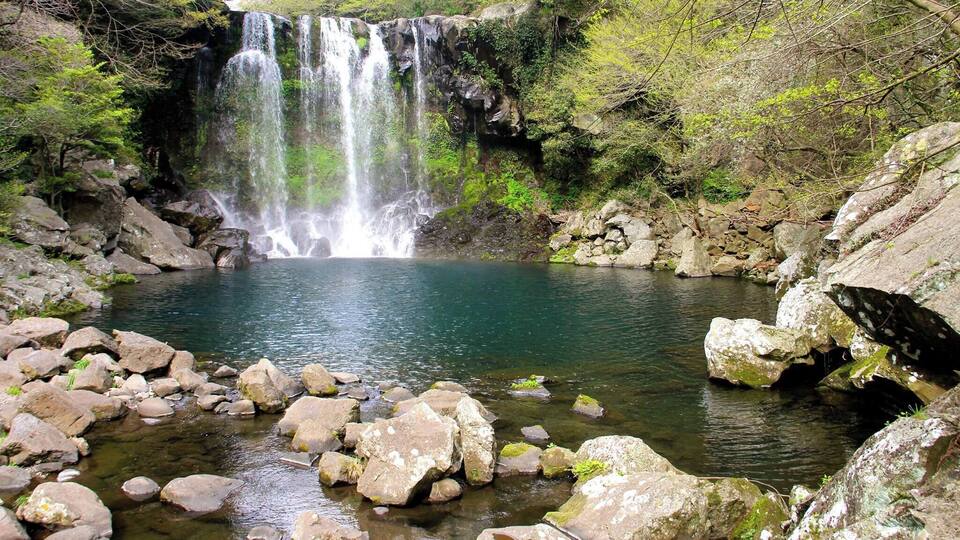 A waterfall cascading into a clear pond surrounded by rocks and greenery.