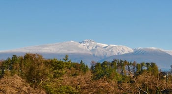A perfect day on Jeju Island in South Korea. The snow at the top of South Korea's highest peak sends you a chilly reminder that winter is not yet over