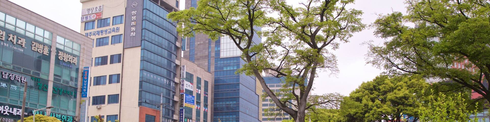 Jeju City showing a city and a park