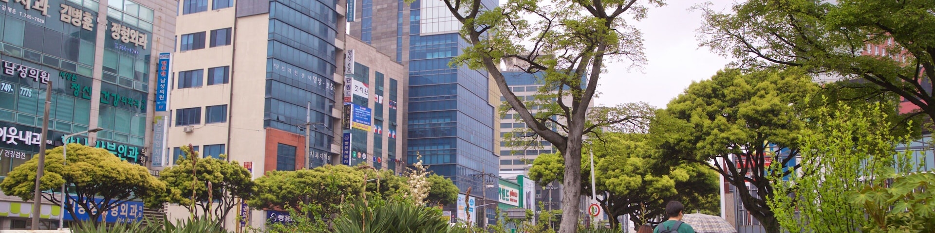 A city street with modern buildings, trees, and pedestrians.