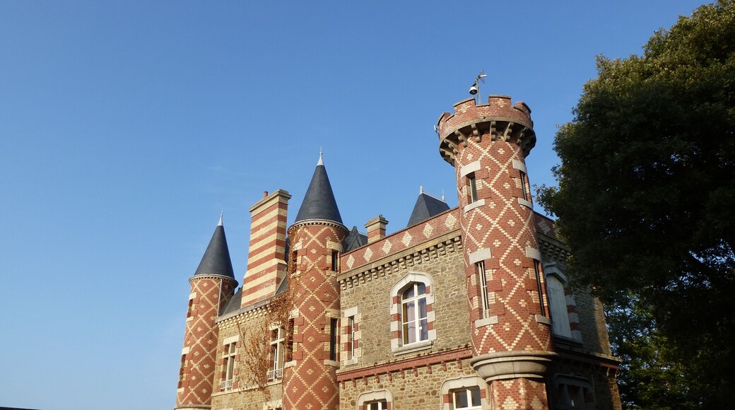 les tourelles du chateau du nessay