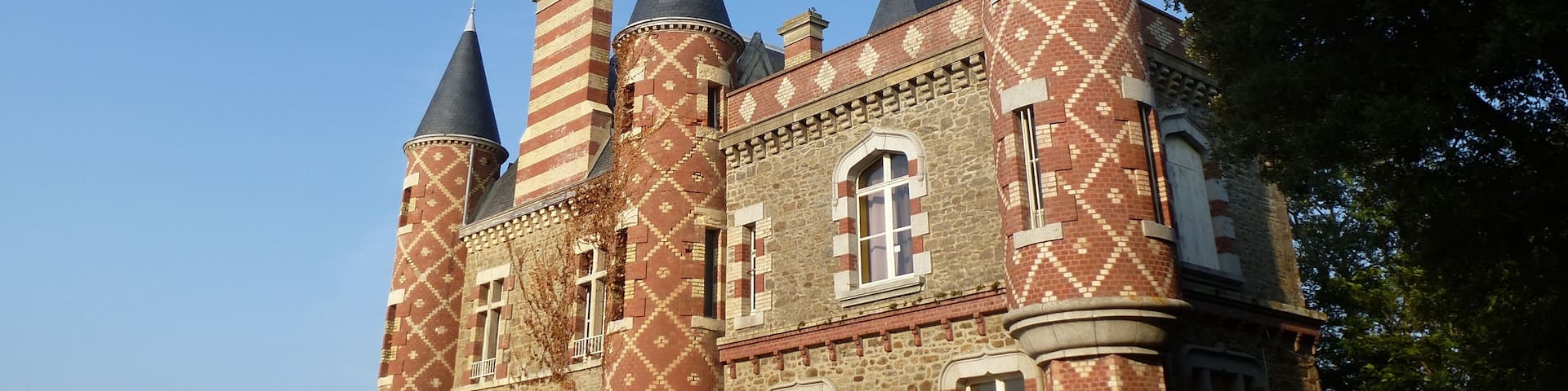 les tourelles du chateau du nessay