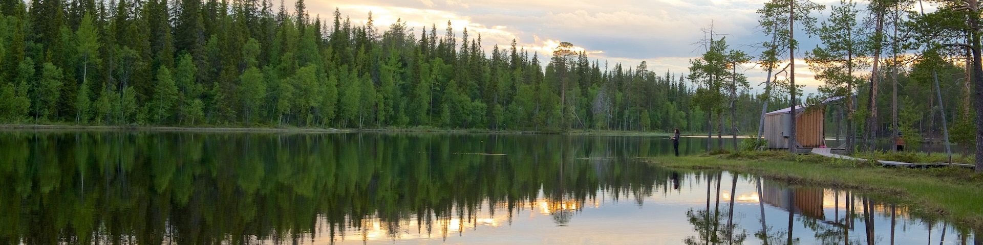 ๋ฃจ์ค์คํ ์ ํน์ง ์ผ๋ชฐ, ๊ฐ ๋๋ ์๋ด ๊ณผ ํ์ ํ ํ๊ฒฝ