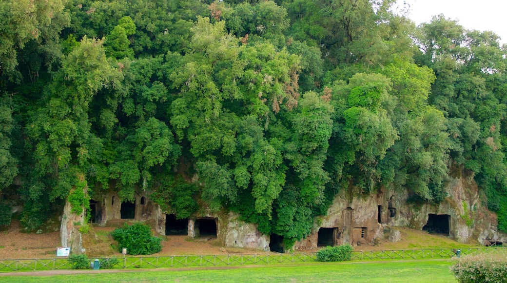 Sutri showing heritage elements