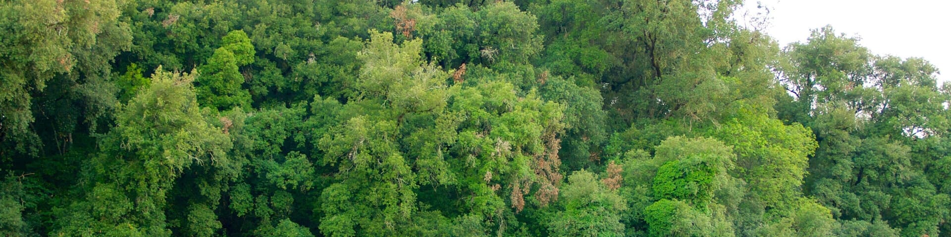 Sutri showing heritage elements