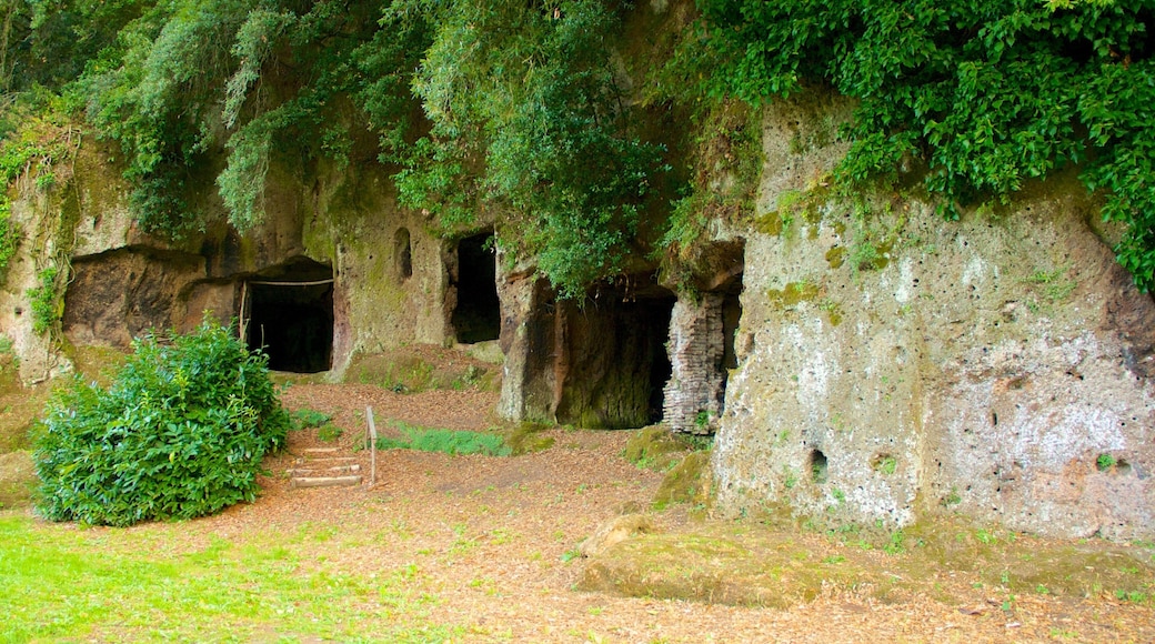 Sutri showing heritage elements