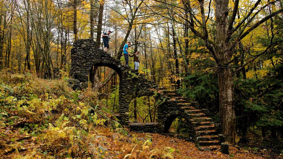 A stone bridge in a forest with autumn foliage.