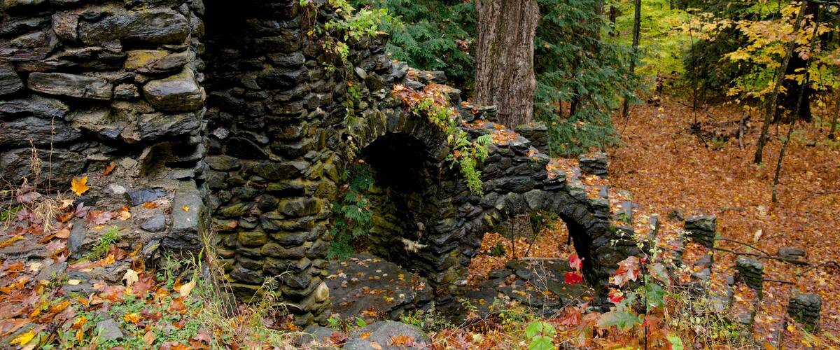 A stone archway in a forest with autumn leaves.