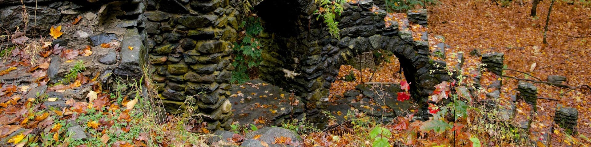 A stone archway in a forest with autumn leaves.