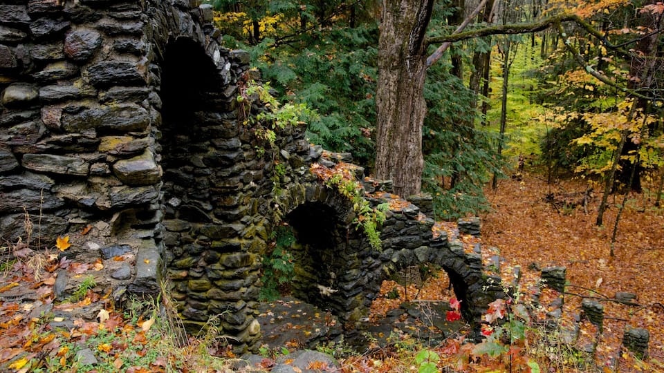 A stone archway in a forest with autumn leaves.