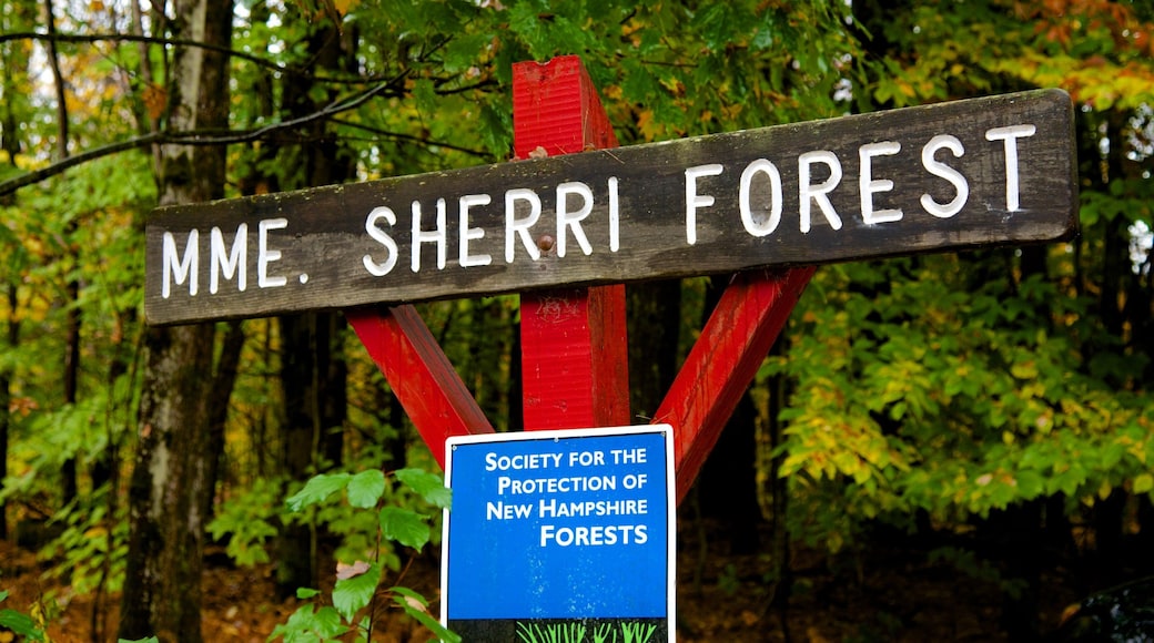 Chesterfield which includes signage