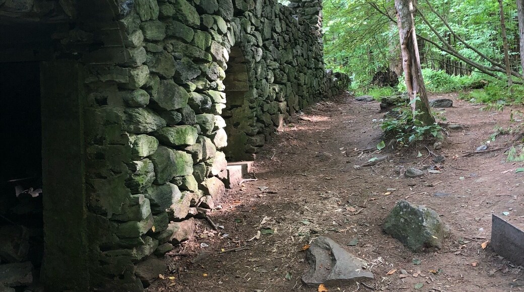Foundation and old staircase are all that remains of the old mansion