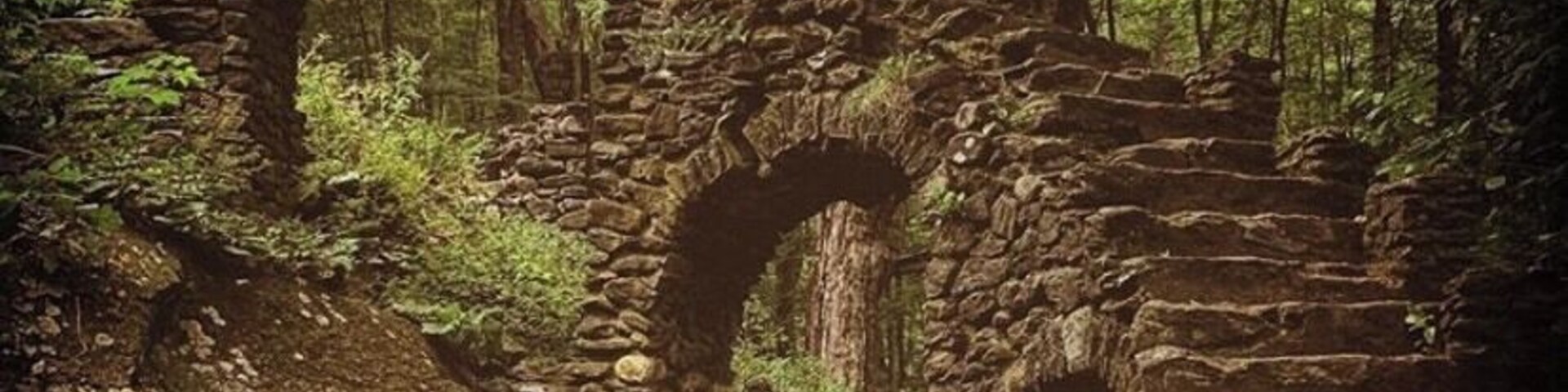 Un antiguo arco de piedra en un área boscosa.