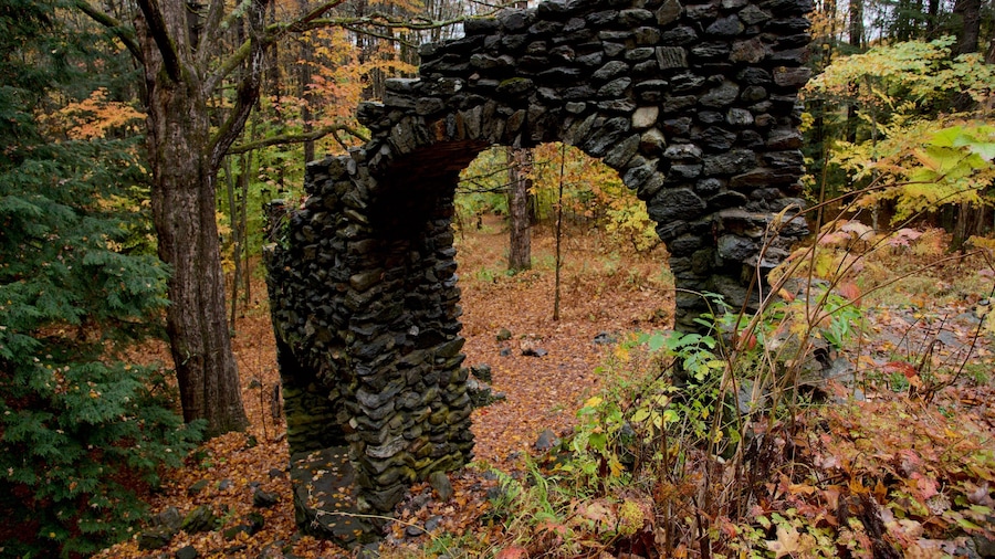 Chesterfield showing autumn leaves, building ruins and forests