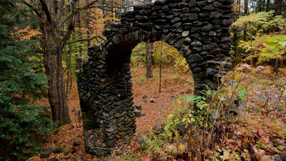 A stone archway in a forest with autumn leaves.