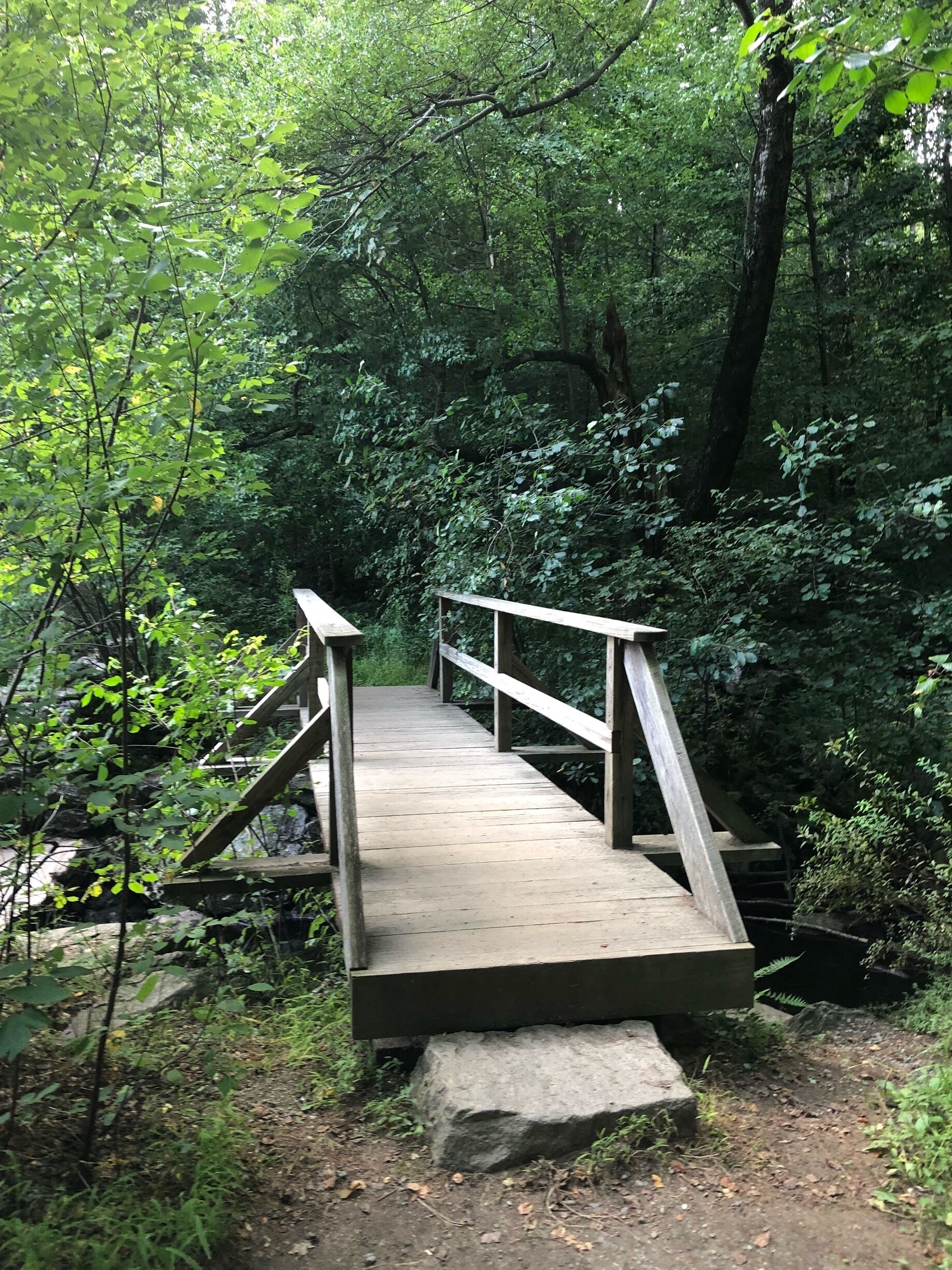 I’m imagining fall is more stunning, but it’s still beautiful 