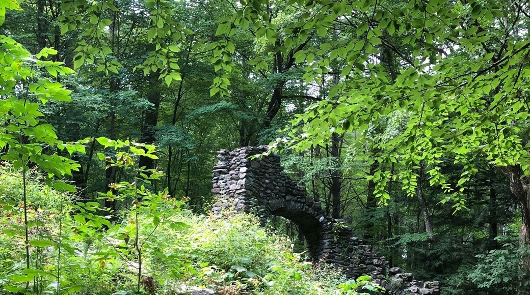 It’s hard to see in the forest, but that’s the old stone staircase