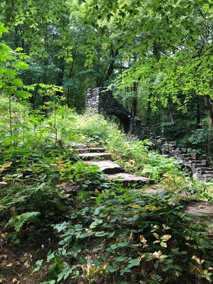 It’s hard to see in the forest, but that’s the old stone staircase