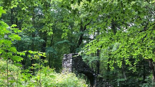 It’s hard to see in the forest, but that’s the old stone staircase