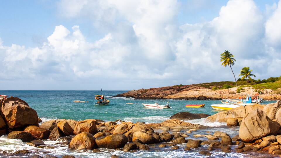 A rocky shoreline with boats, palm trees, and a clear sky.