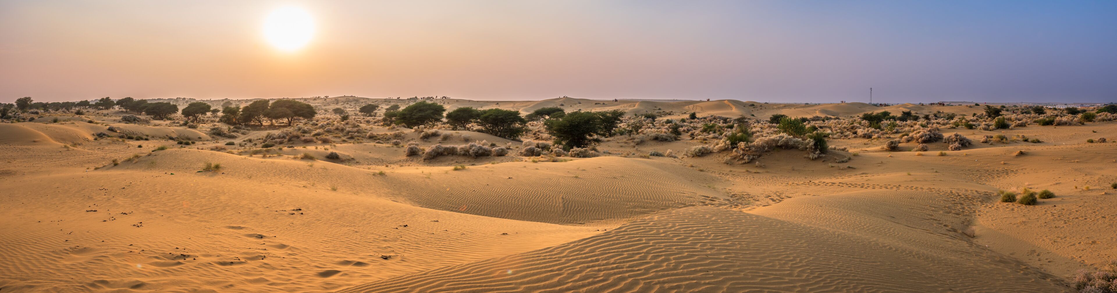 View during sunrise at great thar desert in Jaisalmer, Rajasthan, India.