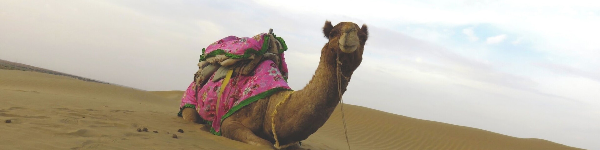 Such a Poser.....our camel safari was such an amazing experience....