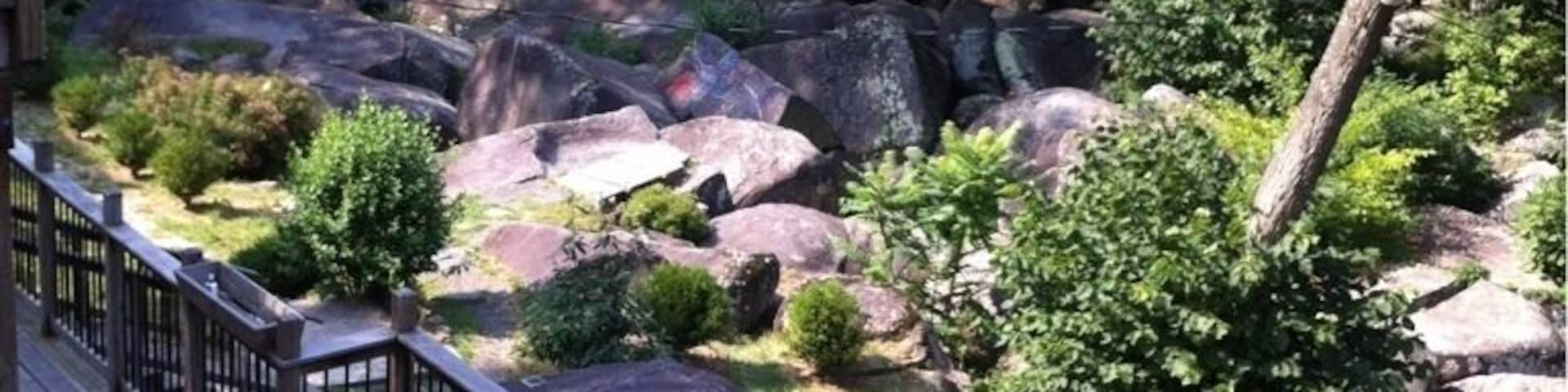 View from the Bakery deck