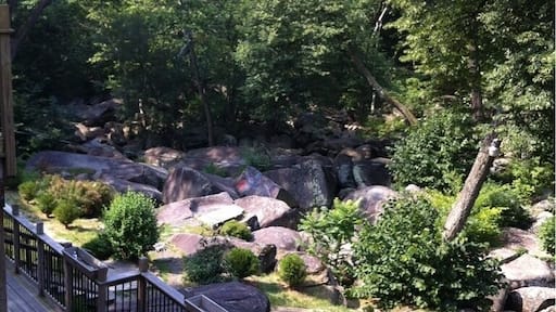 View from the Bakery deck