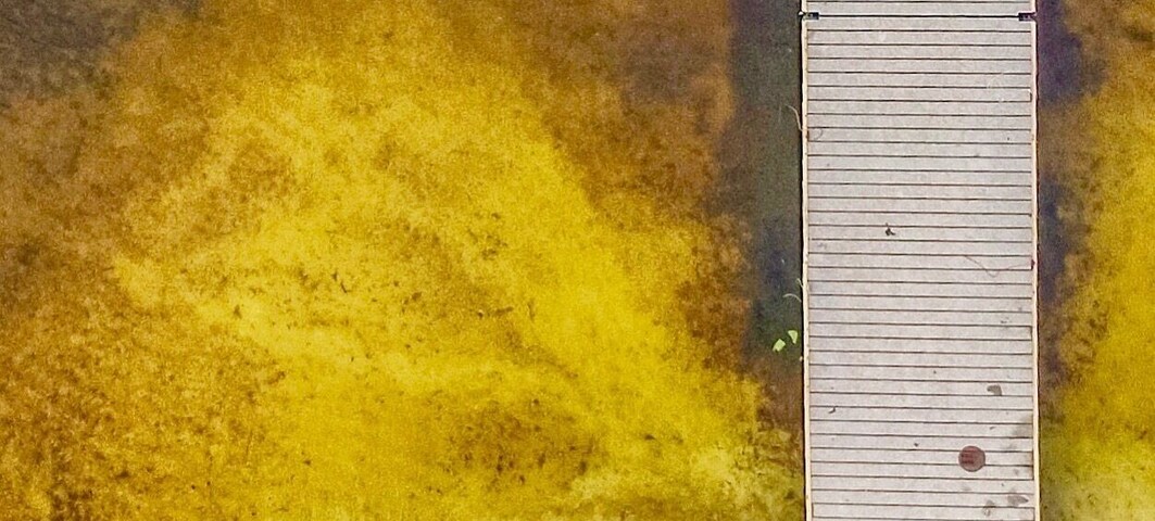 All we need is a different perspective #AboveItAll #boats #view