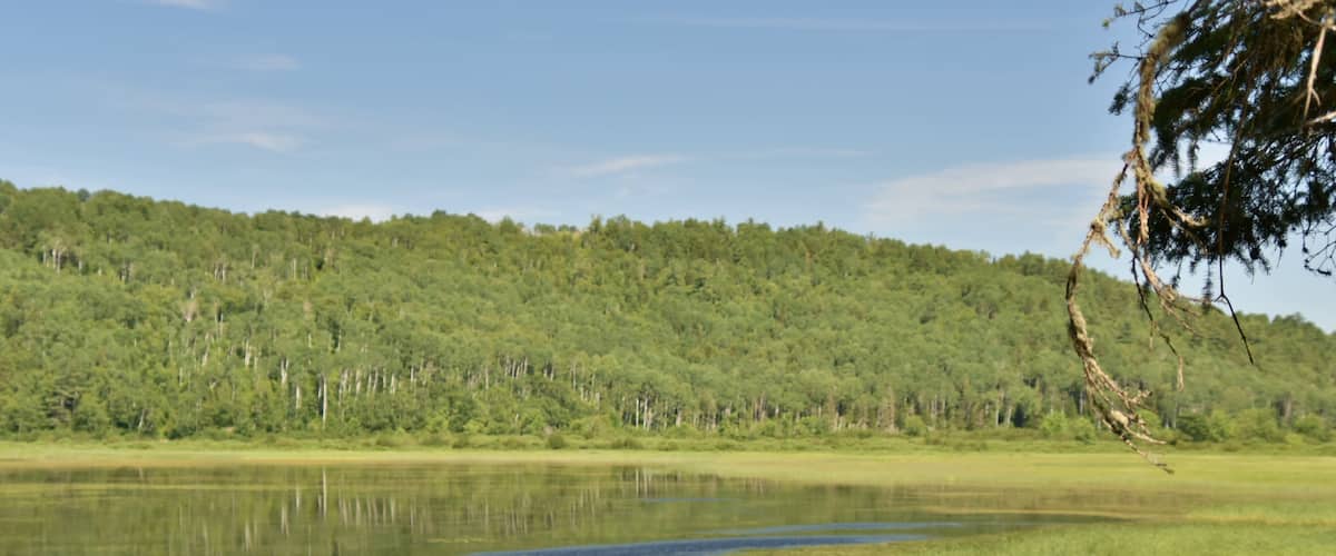A calm lake surrounded by dense forest and a hill in the background.