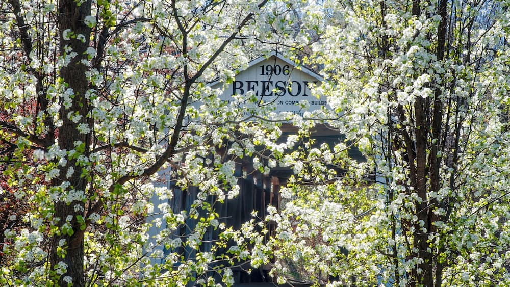 607-51 Beeson Covered Bridge Through Spring Blossoms
