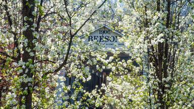 607-51 Beeson Covered Bridge Through Spring Blossoms