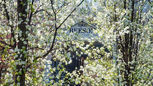 607-51 Beeson Covered Bridge Through Spring Blossoms
