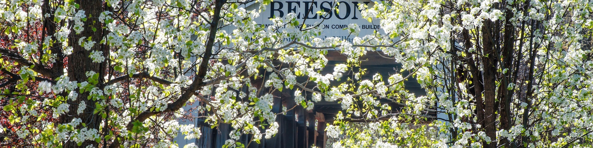 607-51 Beeson Covered Bridge Through Spring Blossoms
