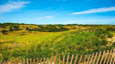 Plum Island National Reserve. Massachusetts, USA - Looking over dunes toward Atlantic Ocean