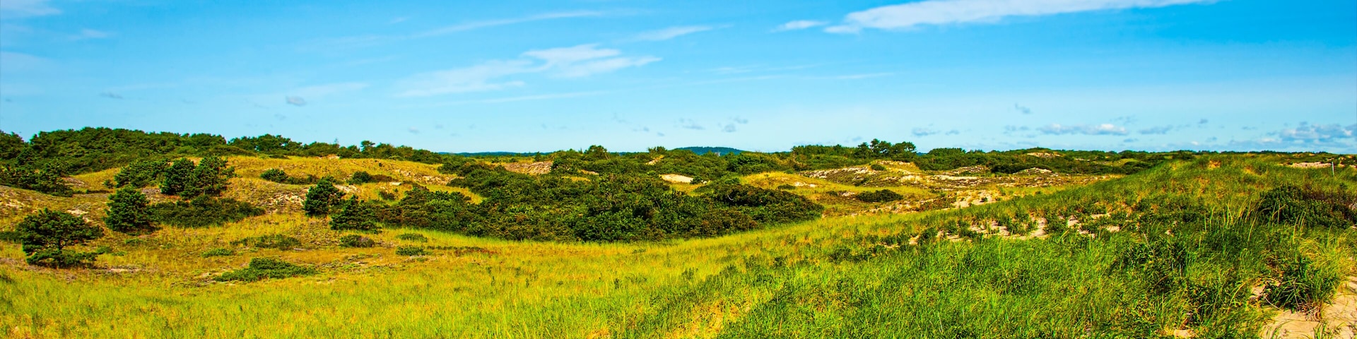 Plum Island National Reserve. Massachusetts, USA - Looking over dunes toward Atlantic Ocean